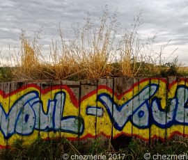 DSC_1539_DxO